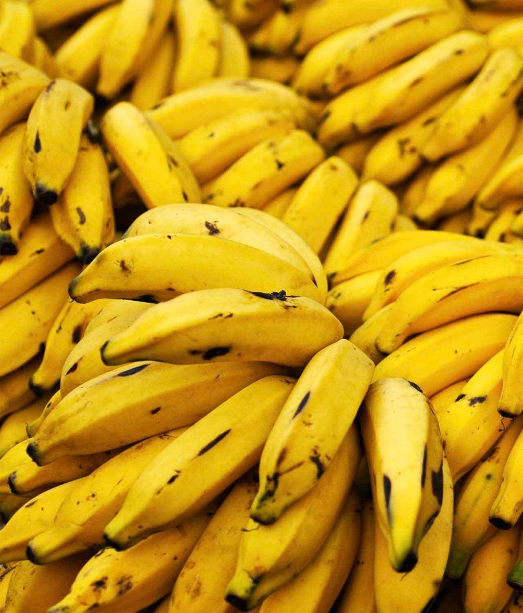 banana_prata_organica-1.jpg